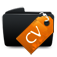 faye éric CV